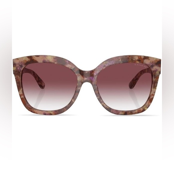 NWT COACH PETAL TORTOISE L1083 SUNGLASSES & CASE - Picture 5 of 15